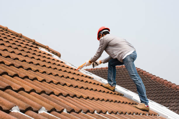 Best Roof Moss and Algae Removal  in Winona, MS